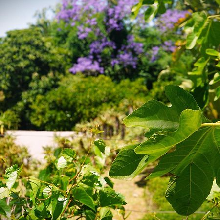 Swellendam Country Lodge - Guest House - B&B Eksteriør bilde