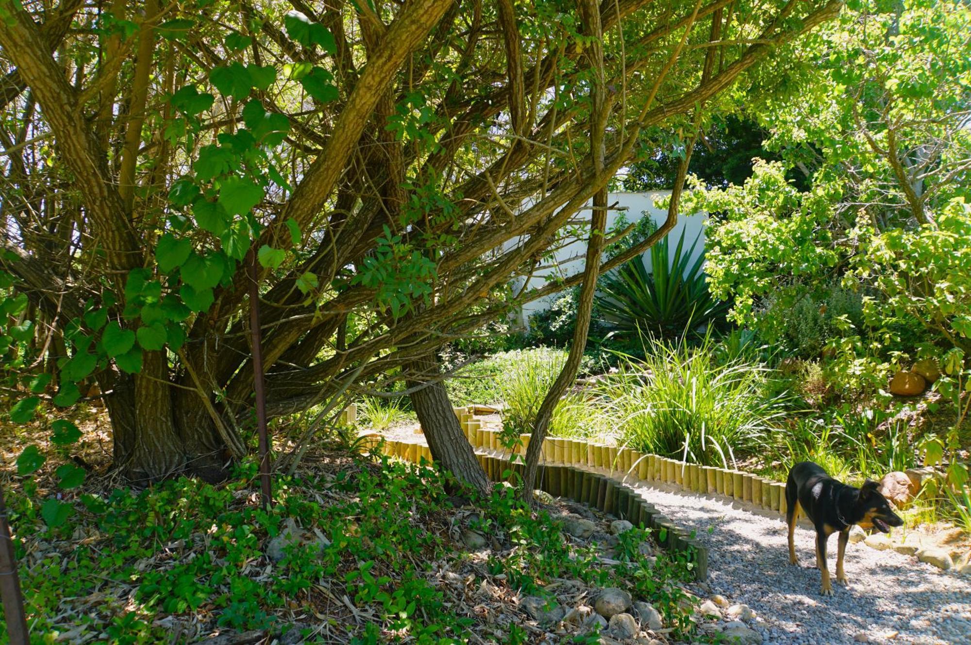 Swellendam Country Lodge - Guest House - B&B Eksteriør bilde