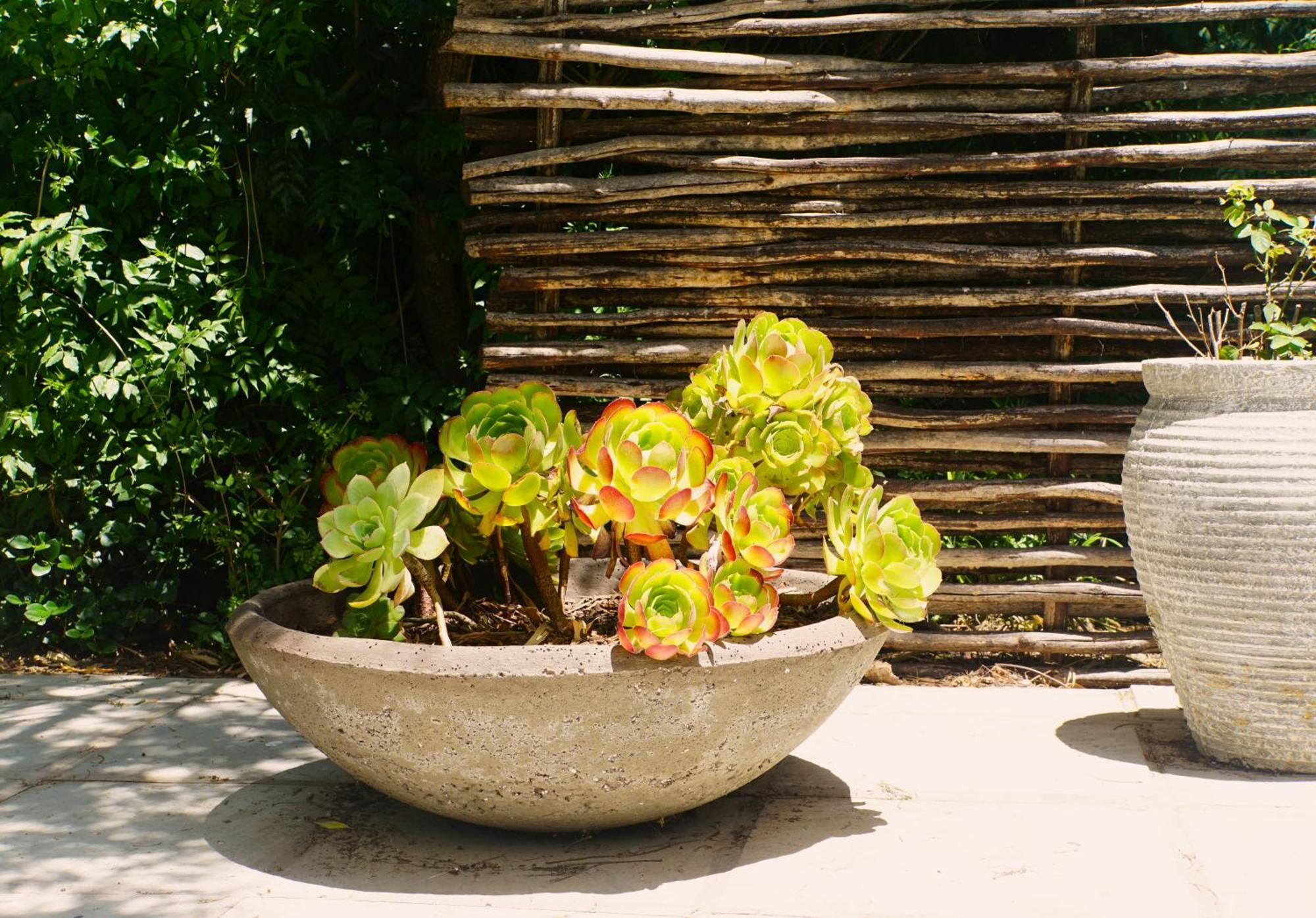 Swellendam Country Lodge - Guest House - B&B Eksteriør bilde